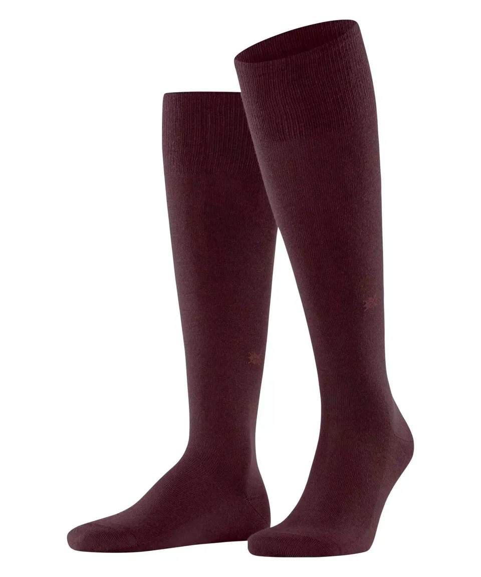 burlington-leeds-kniestr-mpfe-schurwolle-rot-claret-8435 image 1