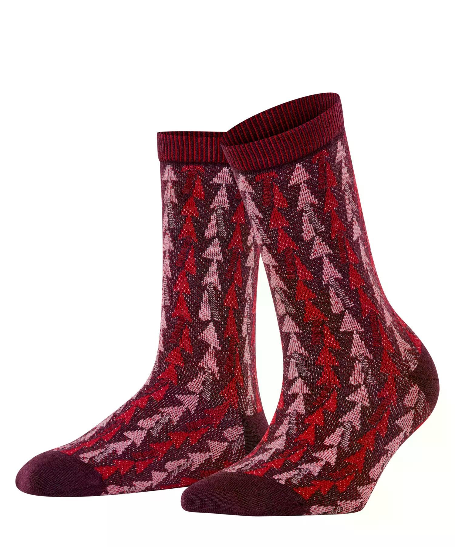 falke-pinewood-socken-barolo-tannenbaum-wolle-35-38 image 1