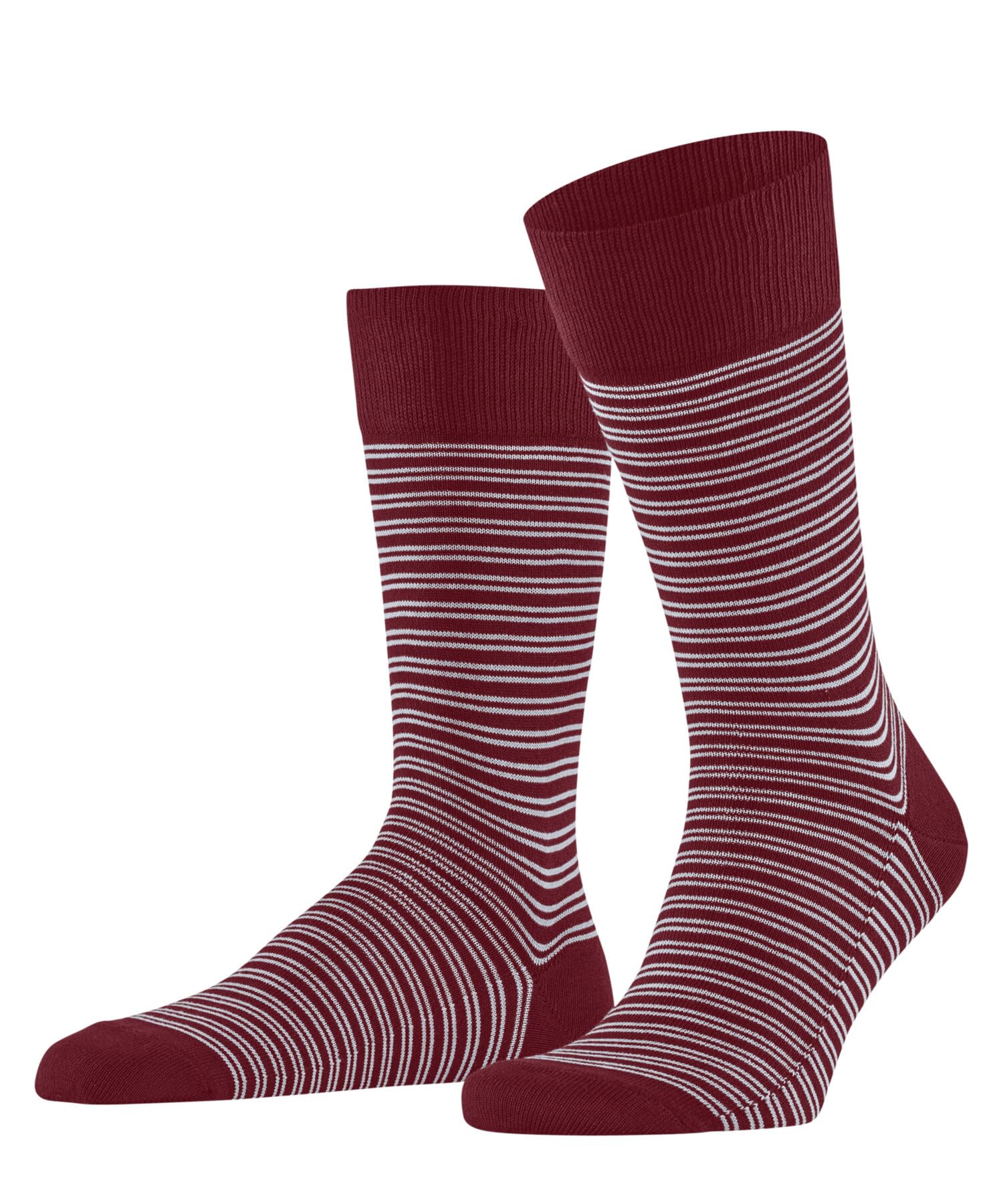 falke-family-herrensocken-baumwolle-39-42-schwarz image 4