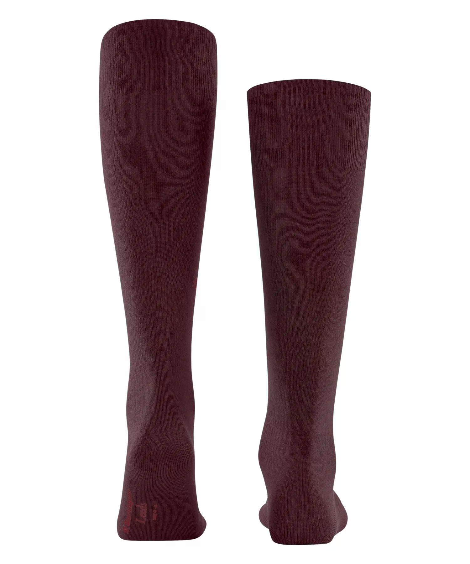 burlington-leeds-kniestr-mpfe-schurwolle-rot-claret-8435 image 2
