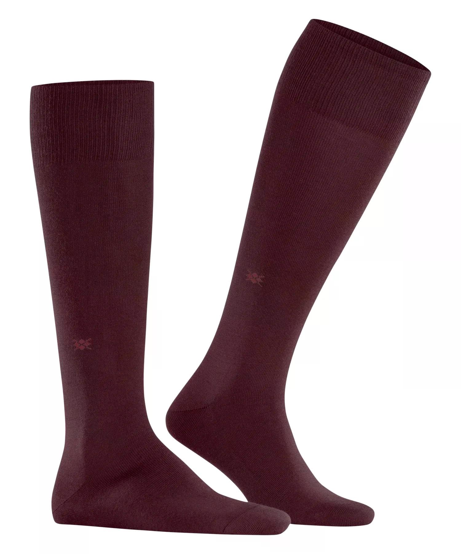 burlington-leeds-kniestr-mpfe-schurwolle-rot-claret-8435 image 4