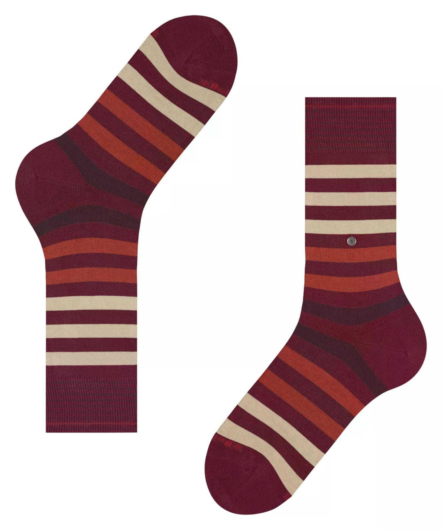 burlington-blackpool-socken-burgund-baumwolle-blockstreifen image 5